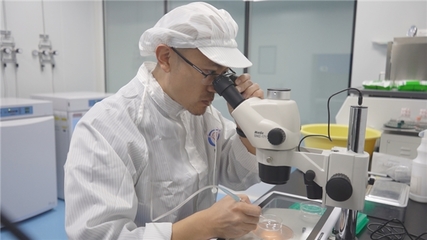 現(xiàn)代牧業(yè)副總裁、技術(shù)總工程師張學(xué):如何用科技重新定義行業(yè)